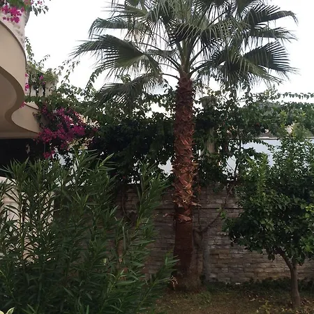 Villa Tepe 1614 *